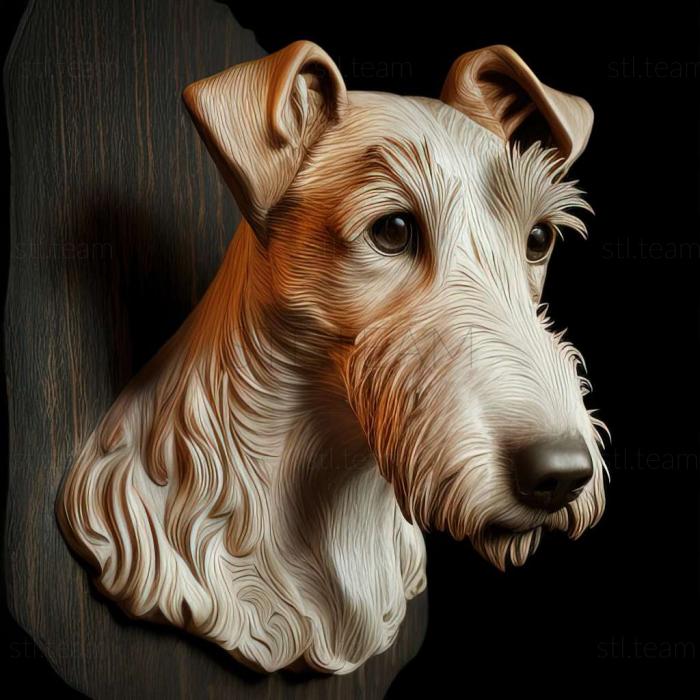 Smooth   haired fox terrier dog